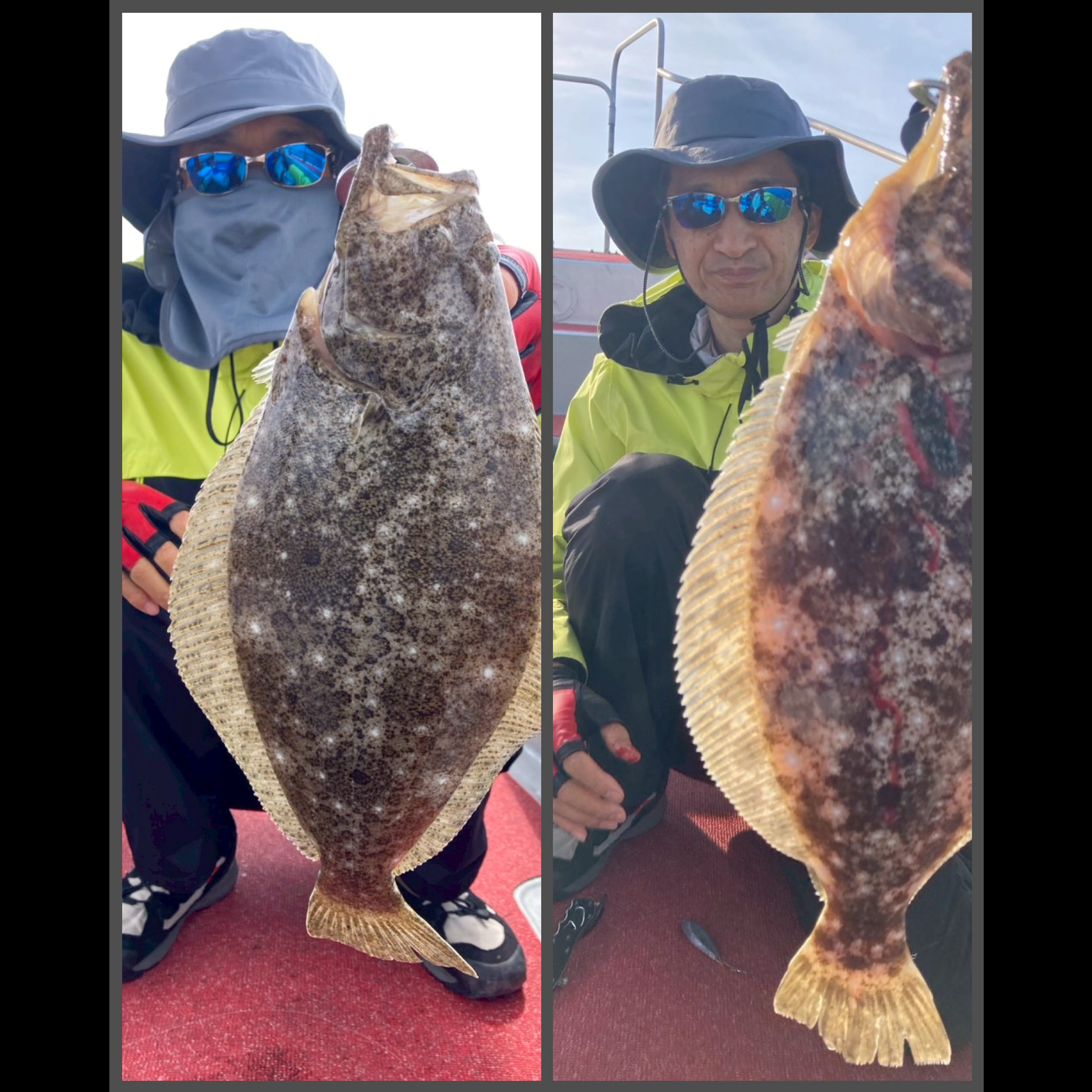 ヒラメ釣り❗️