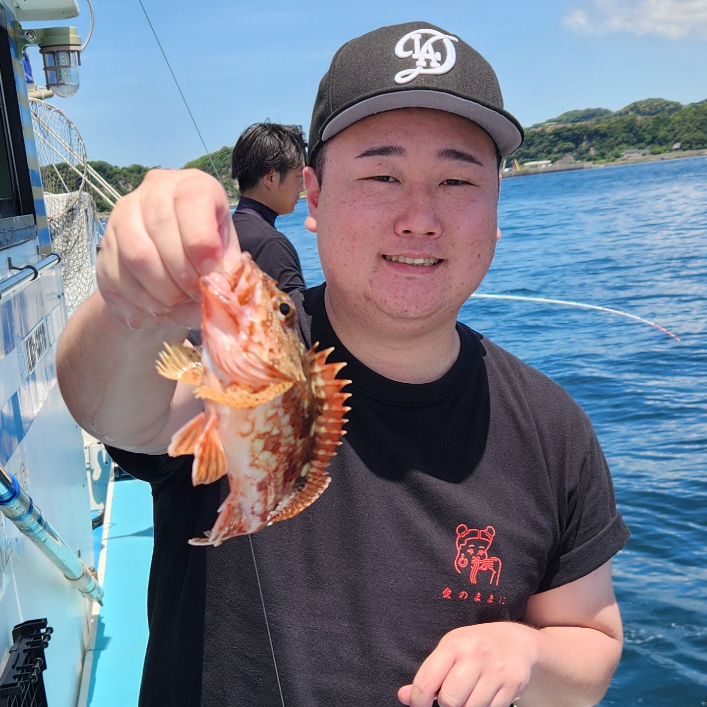 マルイカ～根魚五目