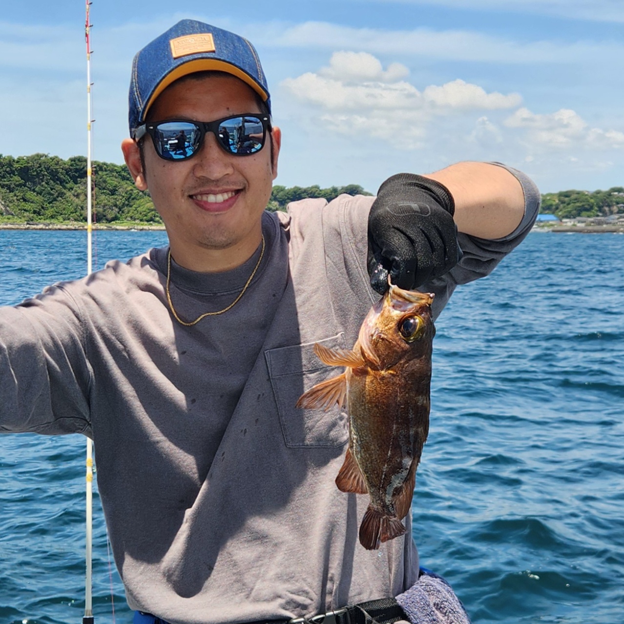 マルイカ～根魚五目