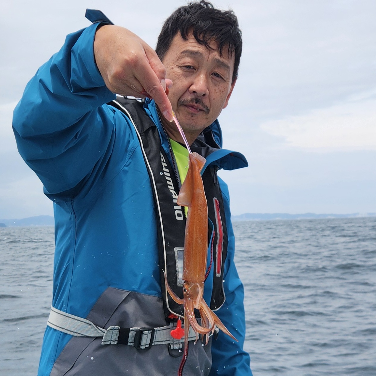 スルメイカ
